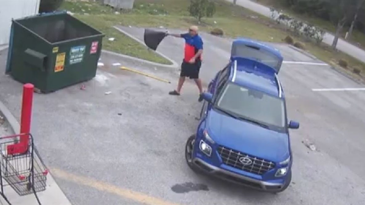Man allegedly flings dog into dumpster